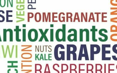 Les antioxydants : au-delà du mythe, la réalité complexe d’actifs majeurs durablement installés sur les marchés du food, du feed et de la cosmétique